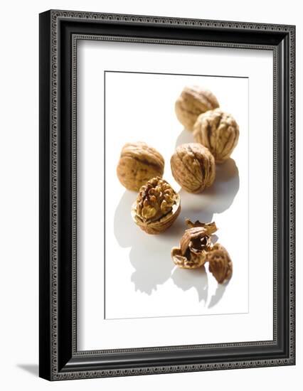 Five Walnuts, Opened and Unopened, on White Background-Kröger and Gross-Framed Photographic Print