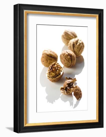 Five Walnuts, Opened and Unopened, on White Background-Kröger and Gross-Framed Photographic Print