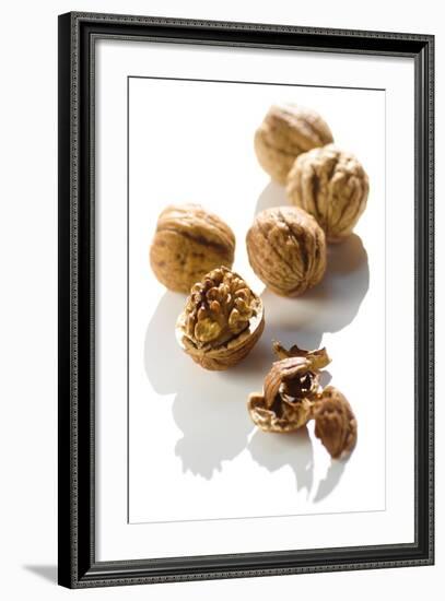 Five Walnuts, Opened and Unopened, on White Background-Kröger and Gross-Framed Photographic Print