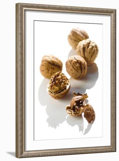 Five Walnuts, Opened and Unopened, on White Background-Kröger and Gross-Framed Photographic Print