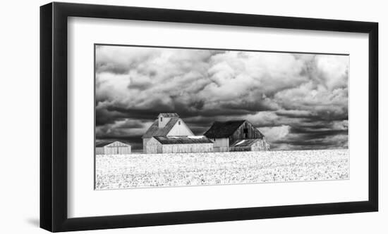 Five White Barns-Trent Foltz-Framed Art Print