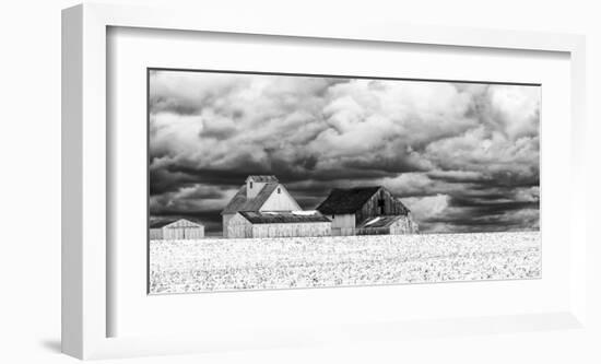 Five White Barns-Trent Foltz-Framed Art Print