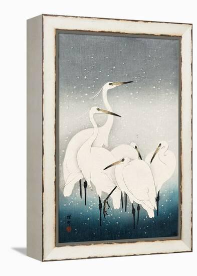 Five White Herons Standing in Water; Snow Falling-Koson Ohara-Framed Premier Image Canvas