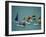 Five Windsurfers-null-Framed Photographic Print