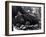 Five Year Old Gorilla Lying Down, Being Comforted by a Keeper-Frederick William Bond-Framed Photographic Print