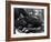 Five Year Old Gorilla Lying Down, Being Comforted by a Keeper-Frederick William Bond-Framed Photographic Print