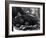 Five Year Old Gorilla Lying Down, Being Comforted by a Keeper-Frederick William Bond-Framed Photographic Print