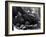 Five Year Old Gorilla Lying Down, Being Comforted by a Keeper-Frederick William Bond-Framed Photographic Print