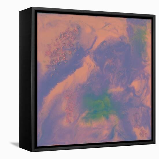 Five-Maryse Pique-Framed Premier Image Canvas