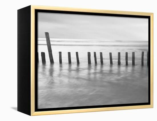 Fivefire-David Baker-Framed Premier Image Canvas