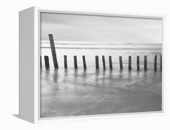 Fivefire-David Baker-Framed Premier Image Canvas