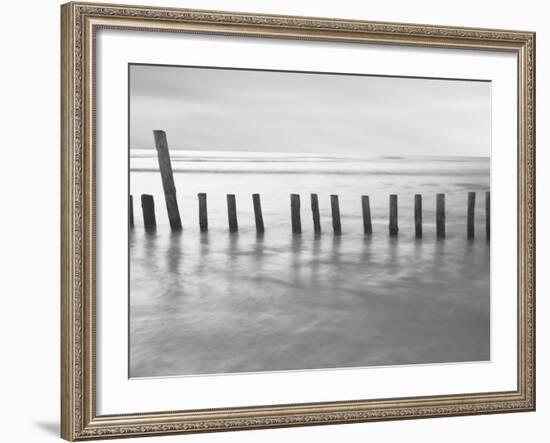 Fivefire-David Baker-Framed Photographic Print