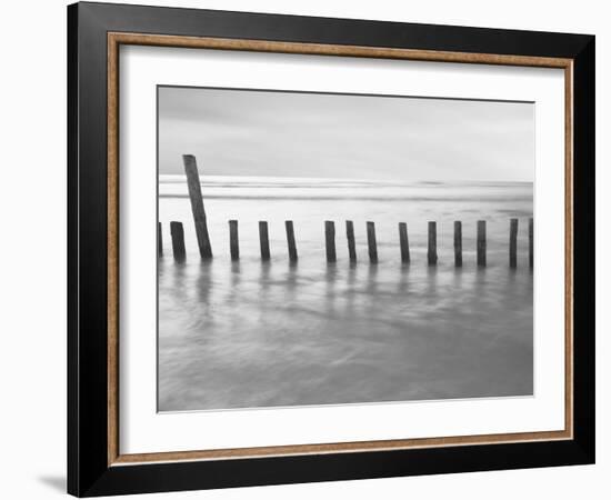 Fivefire-David Baker-Framed Photographic Print