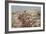 Fix Bayonets! in the Trenches at Ladysmith-Richard Caton Woodville-Framed Giclee Print