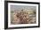 Fix Bayonets! in the Trenches at Ladysmith-Richard Caton Woodville-Framed Giclee Print