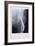 Fixed Femur-null-Framed Premium Giclee Print