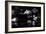 Fixed Gaze-Fulvio Pellegrini-Framed Photographic Print