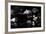 Fixed Gaze-Fulvio Pellegrini-Framed Photographic Print