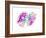 FK506-binding Protein Molecule-Laguna Design-Framed Photographic Print