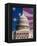 Flag Behind U.S. Capitol-Joseph Sohm-Framed Premier Image Canvas