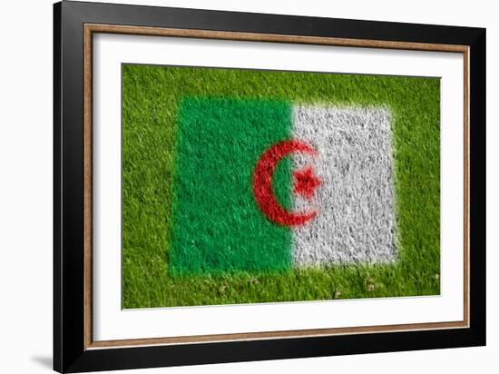 Flag of Algeria on Grass-raphtong-Framed Art Print