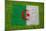 Flag of Algeria on Grass-raphtong-Mounted Art Print
