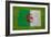 Flag of Algeria on Grass-raphtong-Framed Art Print