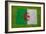 Flag of Algeria on Grass-raphtong-Framed Art Print