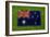 Flag of Australia on Grass-raphtong-Framed Premium Giclee Print