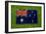 Flag of Australia on Grass-raphtong-Framed Premium Giclee Print