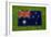 Flag of Australia on Grass-raphtong-Framed Art Print