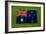 Flag of Australia on Grass-raphtong-Framed Art Print