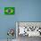 Flag Of Brazil-talitha-Art Print displayed on a wall