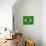 Flag Of Brazil-talitha-Mounted Art Print displayed on a wall