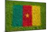 Flag of Cameroon on Grass-raphtong-Mounted Art Print