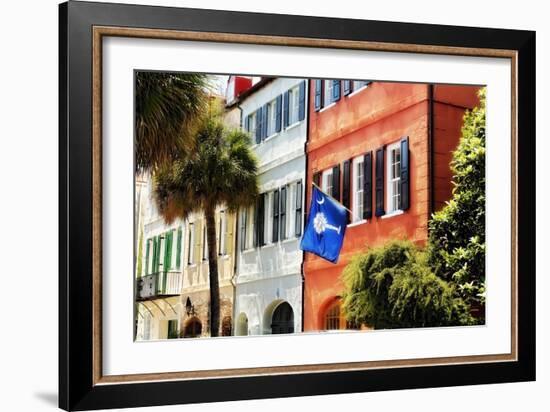 Flag Of Charleston With Palmetto And Crescent Moon-George Oze-Framed Photographic Print