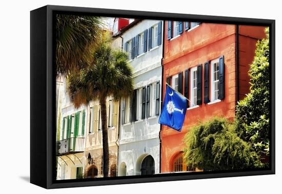 Flag Of Charleston With Palmetto And Crescent Moon-George Oze-Framed Premier Image Canvas