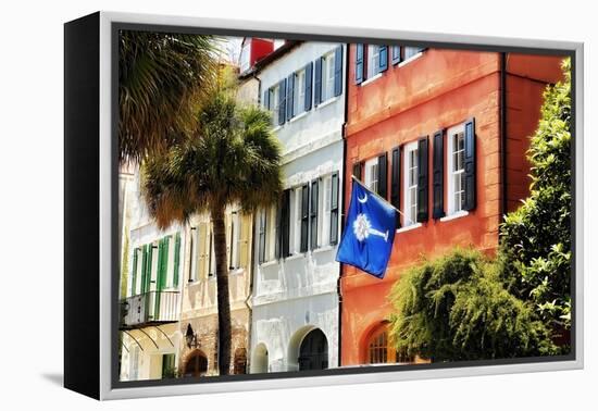 Flag Of Charleston With Palmetto And Crescent Moon-George Oze-Framed Premier Image Canvas