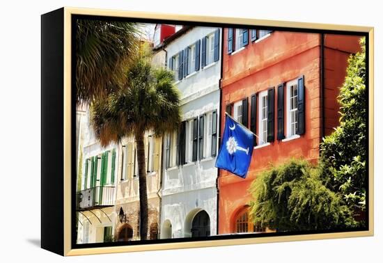 Flag Of Charleston With Palmetto And Crescent Moon-George Oze-Framed Premier Image Canvas
