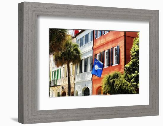 Flag Of Charleston With Palmetto And Crescent Moon-George Oze-Framed Photographic Print