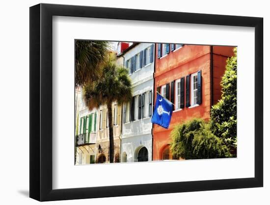 Flag Of Charleston With Palmetto And Crescent Moon-George Oze-Framed Photographic Print