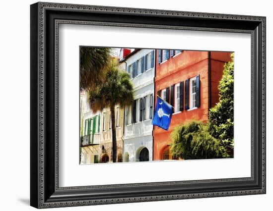 Flag Of Charleston With Palmetto And Crescent Moon-George Oze-Framed Photographic Print