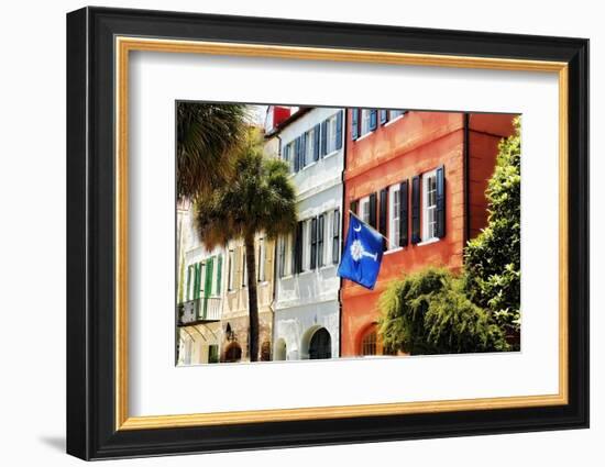 Flag Of Charleston With Palmetto And Crescent Moon-George Oze-Framed Photographic Print