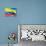 Flag Of Colombia-bioraven-Art Print displayed on a wall