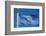 Flag of Conch Republic-jiawangkun-Framed Photographic Print