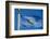 Flag of Conch Republic-jiawangkun-Framed Photographic Print