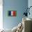 Flag of France on Grass-raphtong-Art Print displayed on a wall