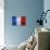 Flag Of France-Miro Novak-Art Print displayed on a wall