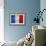 Flag Of France-Miro Novak-Framed Art Print displayed on a wall