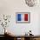 Flag Of France-Miro Novak-Framed Art Print displayed on a wall